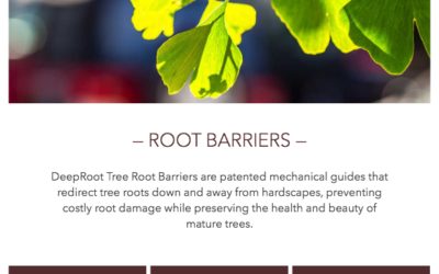 Root Barrier Products